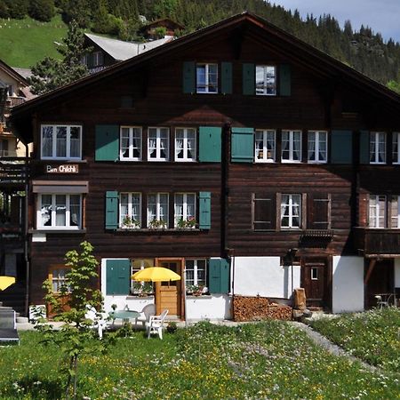 Studio Bim Chalet Bim Chilchli Мюррен Екстер'єр фото